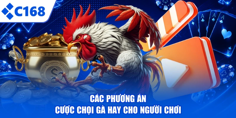 Các phương án cược chọi gà hay cho người chơi