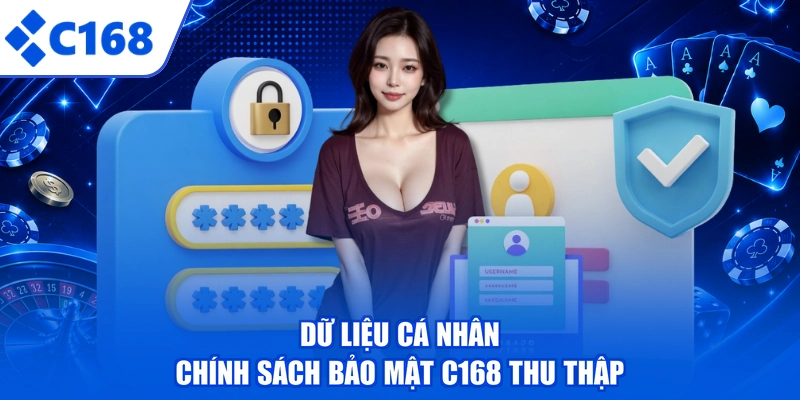 Dữ liệu cá nhân chính sách bảo mật C168 thu thập