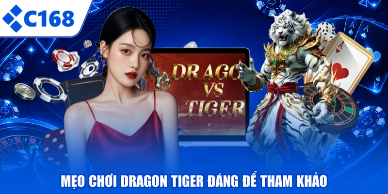 Mẹo chơi Dragon Tiger đáng để tham khảo