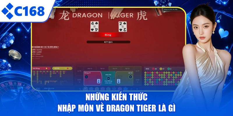 Những kiến thức nhập môn về Dragon Tiger là gì