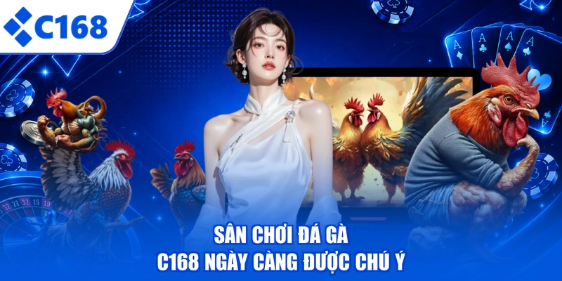 Sân chơi đá gà C168 ngày càng được chú ý